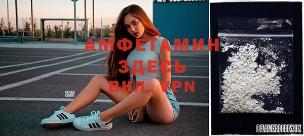 молекула духа Аркадак