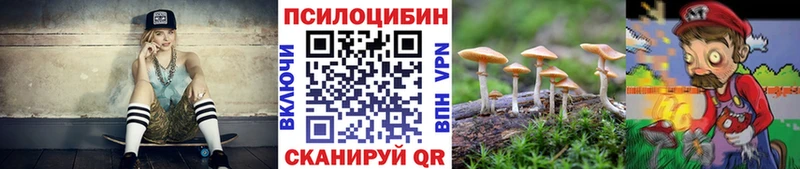 Псилоцибиновые грибы Psilocybe хочу Ковылкино